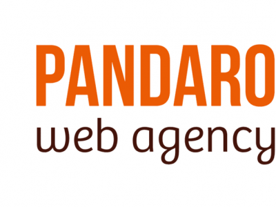 Pandaroux web agency - Votre site optimisé pour Google !