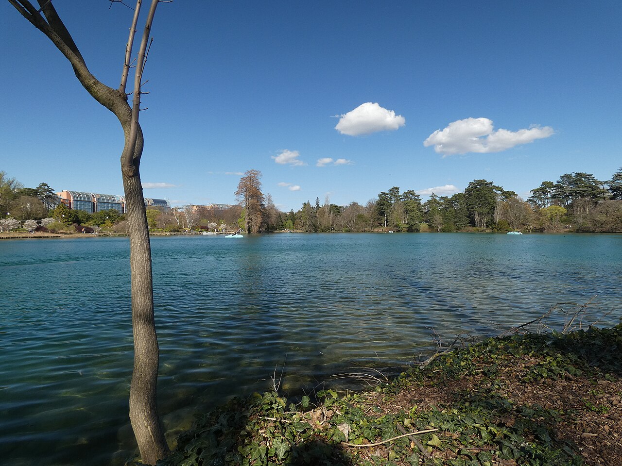Le lac du parc de la Tête d'Or sous un ciel bleu