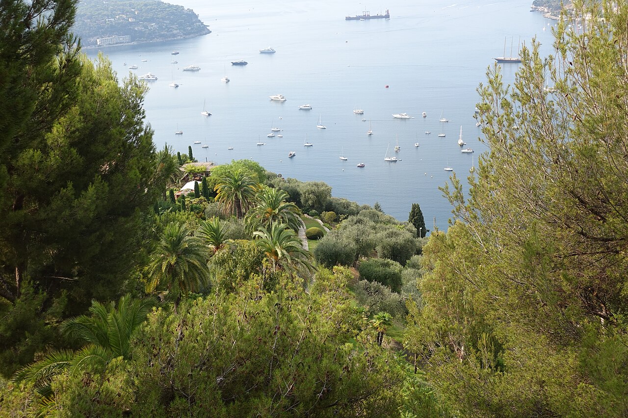 La rade de Villefranche-sur-Mer et ses voiliers au mouillage, vue depuis les hauteurs boisées