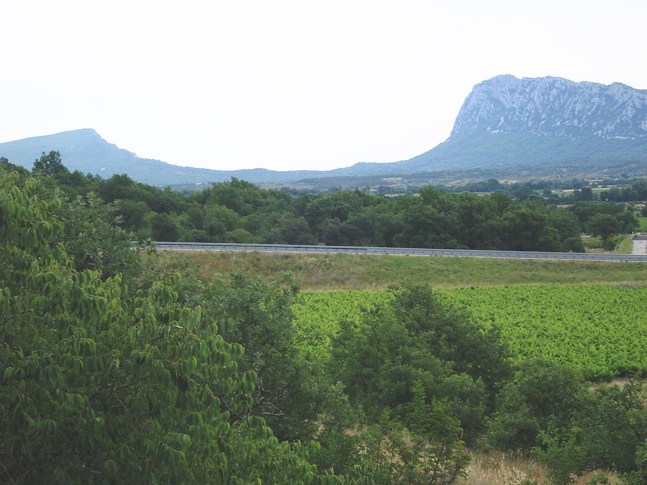 La falaise calcaire du pic Saint-Loup au-dessus de la garrigue et des vignes, vue depuis Saint-Martin-de-Londres