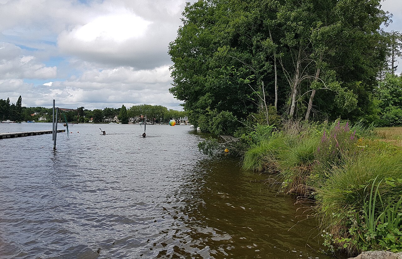 L’Erdre à Sucé-sur-Erdre, large rivière calme bordée d’arbres et de hautes herbes, avec un ponton et des maisons sur la rive opposée