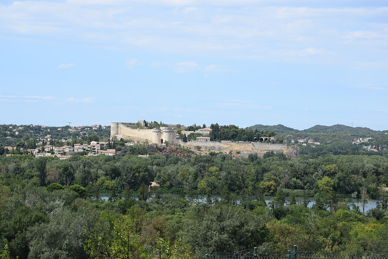 Le fort Saint-André et ses tours jumelles sur la colline de Villeneuve-lès-Avignon, au-dessus des arbres et d’un bras du Rhône