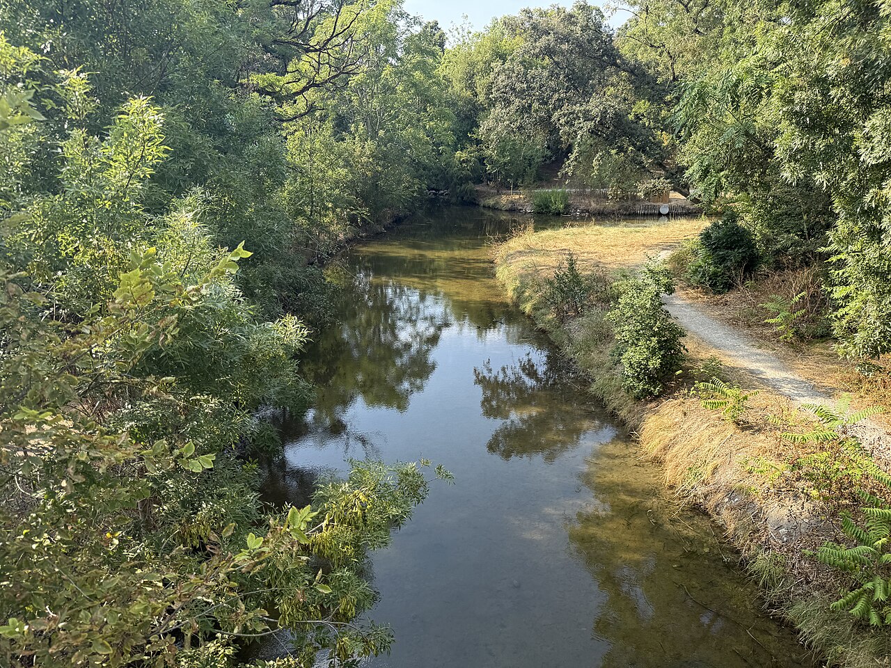 Le cours d’eau ombragé du parc Charruyer à La Rochelle, entre berges arborées et allée de promenade