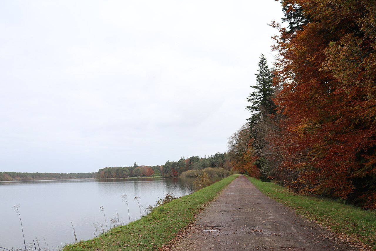 Un chemin longe l’étang du Pas-du-Houx, dans la forêt de Brocéliande en automne, sous des hêtres roux