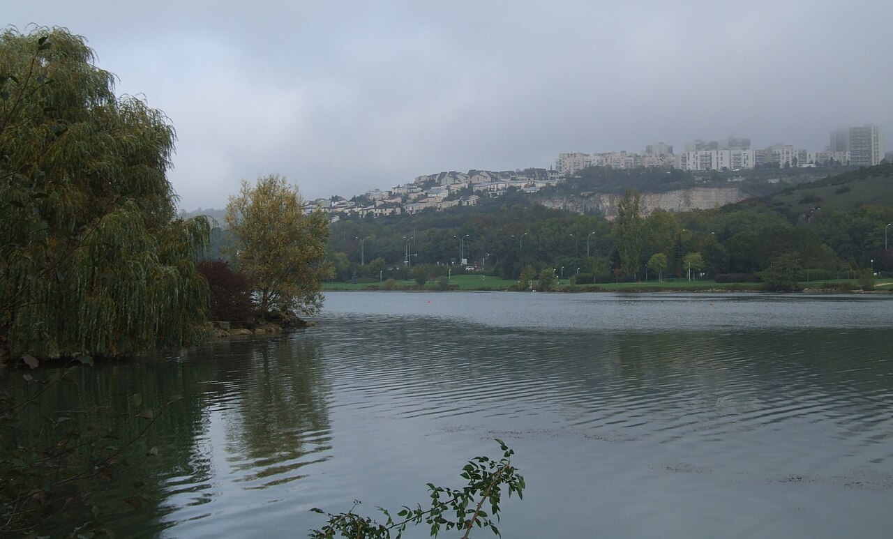 Le lac Kir à Dijon un jour gris d’automne, un saule pleureur au bord de l’eau et les coteaux boisés en arrière-plan