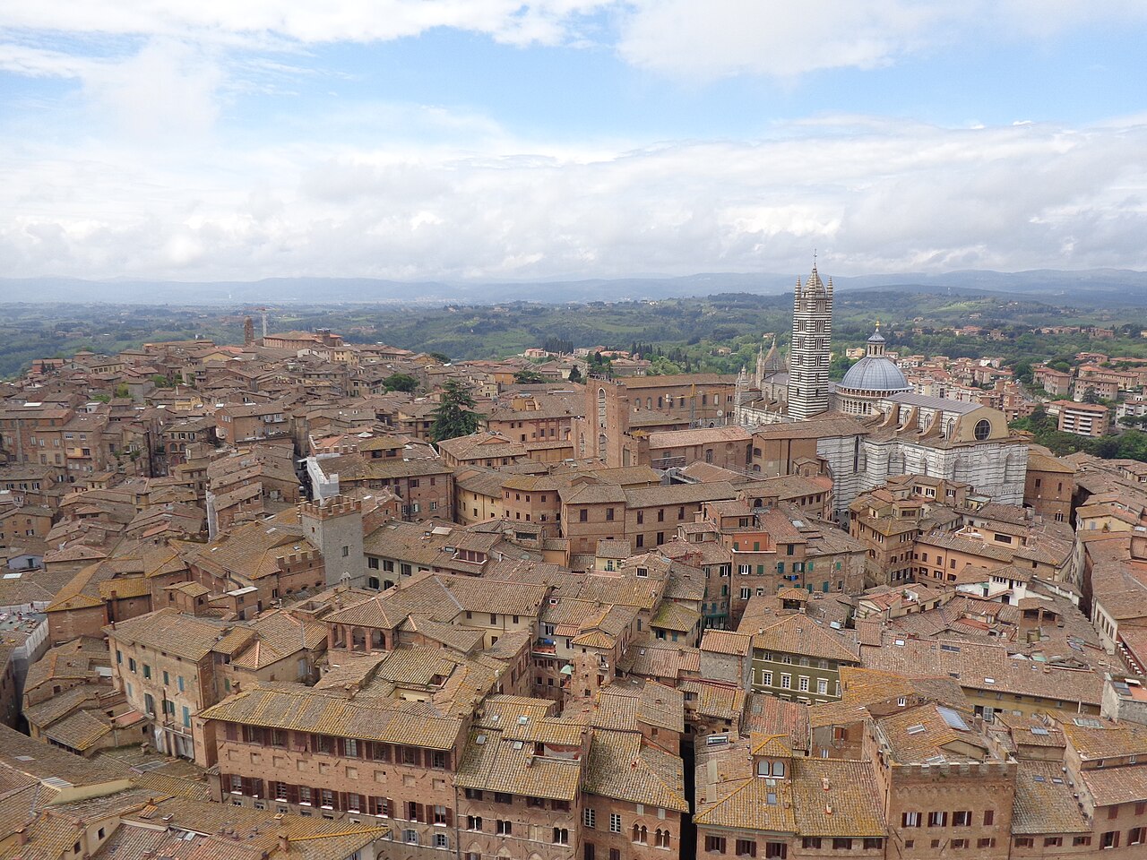 Les toits de tuiles de Sienne vus d’en haut, la cathédrale à rayures noires et blanches et son campanile à droite, les collines toscanes au fond